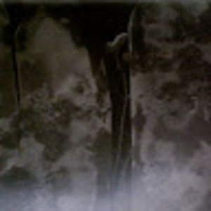 Meet your Posher, Alaina